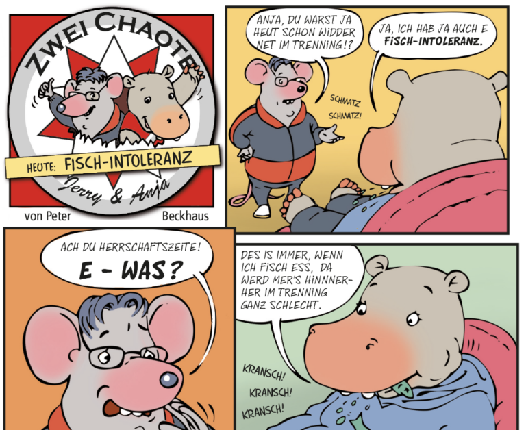Comic bestehend aus vier Bildern mit dem Titel "Zwei Chaoten" - Beispiel einer handgezeichneten Illustration von Beckhaus Design